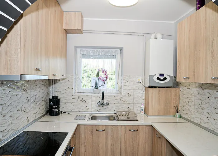 Panda * Hajdúszoboszló